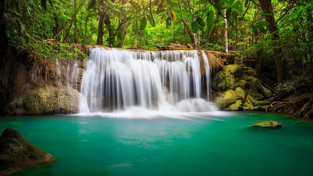 Landscape · water & foliage